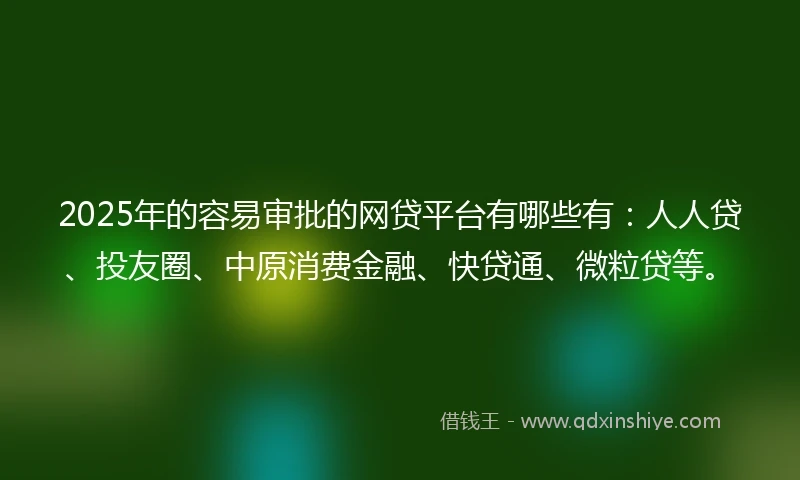 2025年的容易审批的网贷平台有哪些有：人人贷、投友圈、中原消费金融、快贷通、微粒贷等。