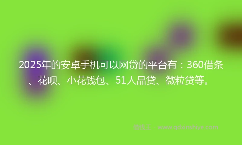 2025年的安卓手机可以网贷的平台有：360借条、花呗、小花钱包、51人品贷、微粒贷等。