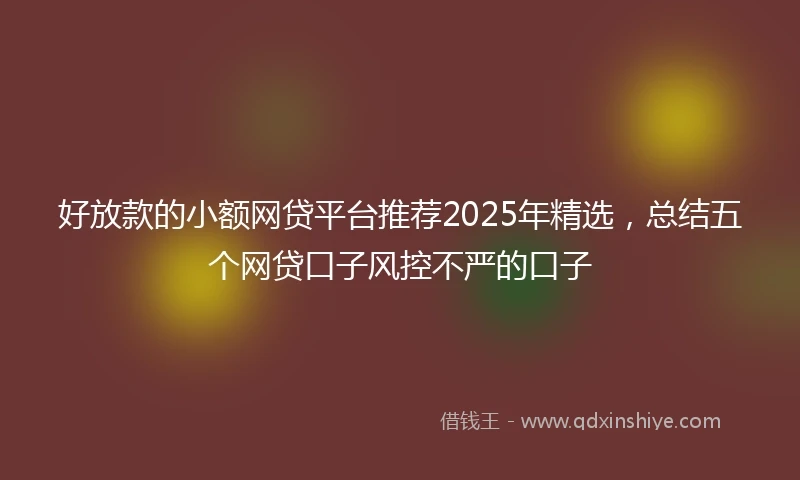好放款的小额网贷平台推荐2025年精选，总结五个网贷口子风控不严的口子