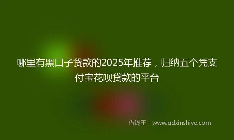 哪里有黑口子贷款的2025年推荐，归纳五个凭支付宝花呗贷款的平台