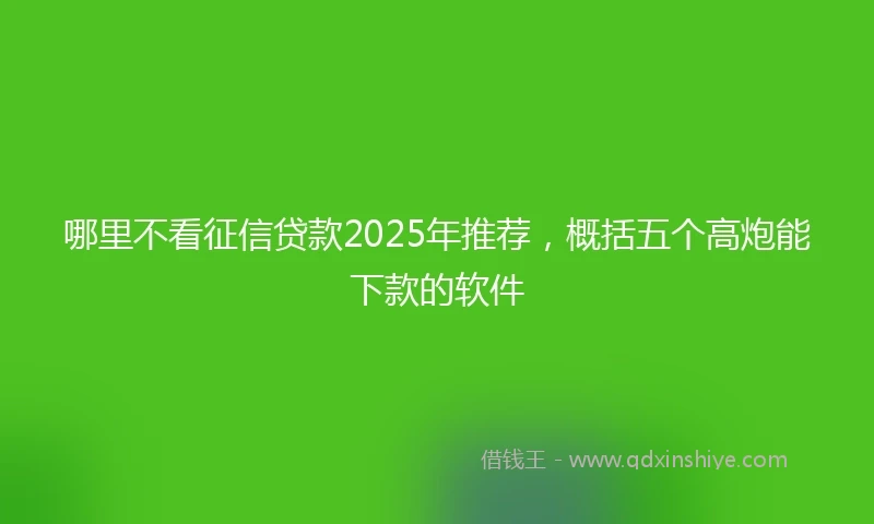 哪里不看征信贷款2025年推荐，概括五个高炮能下款的软件