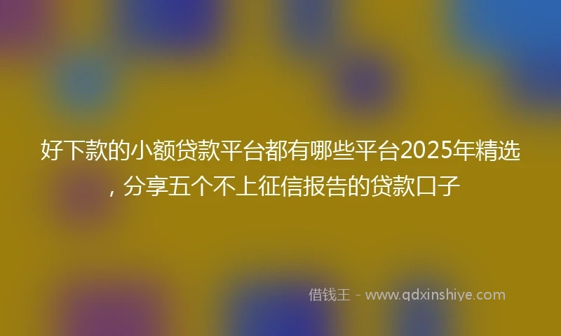 好下款的小额贷款平台都有哪些平台2025年精选，分享五个不上征信报告的贷款口子