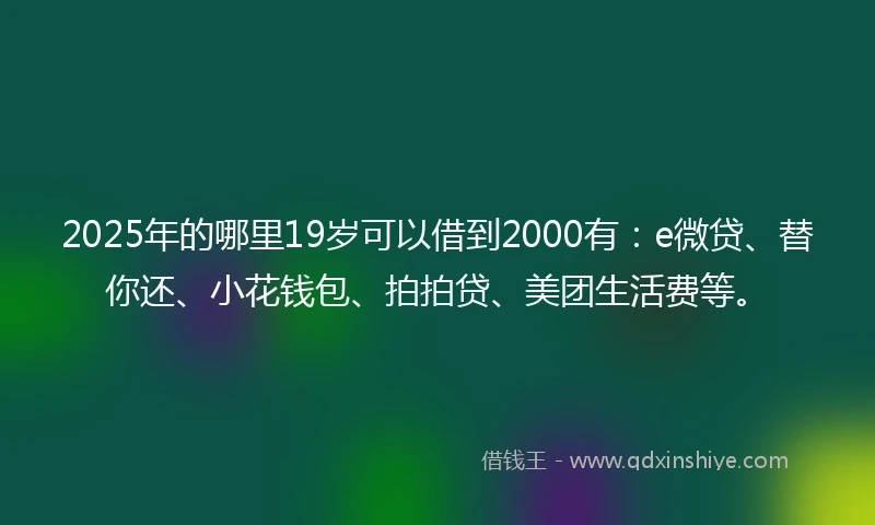 2025年的哪里19岁可以借到2000有：e微贷、替你还、小花钱包、拍拍贷、美团生活费等。