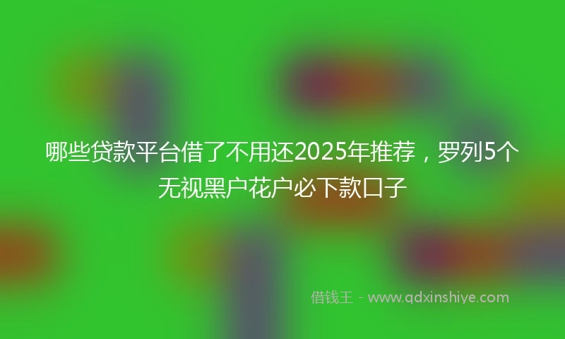 哪些贷款平台借了不用还2025年推荐，罗列5个无视黑户花户必下款口子