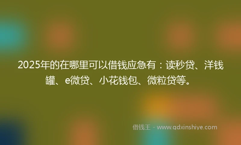 2025年的在哪里可以借钱应急有：读秒贷、洋钱罐、e微贷、小花钱包、微粒贷等。