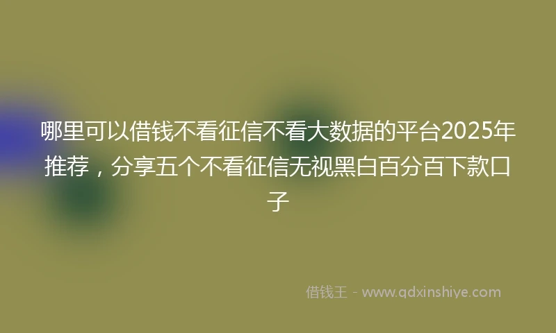 哪里可以借钱不看征信不看大数据的平台2025年推荐，分享五个不看征信无视黑白百分百下款口子