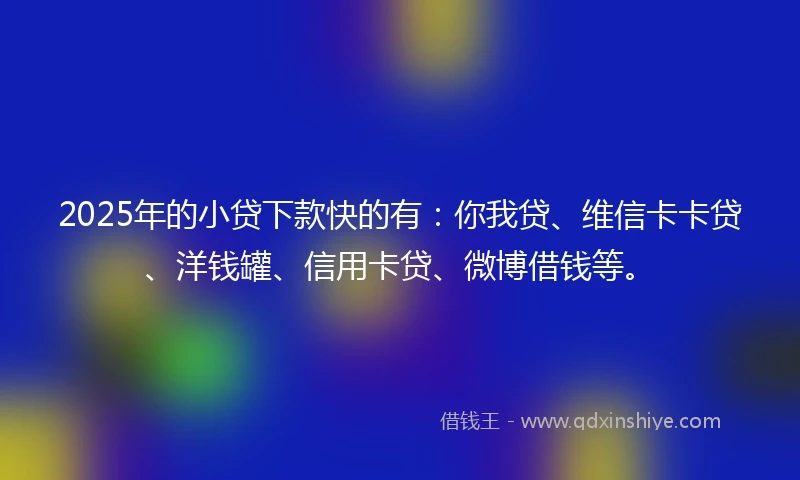 2025年的小贷下款快的有：你我贷、维信卡卡贷、洋钱罐、信用卡贷、微博借钱等。