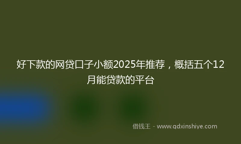 好下款的网贷口子小额2025年推荐，概括五个12月能贷款的平台