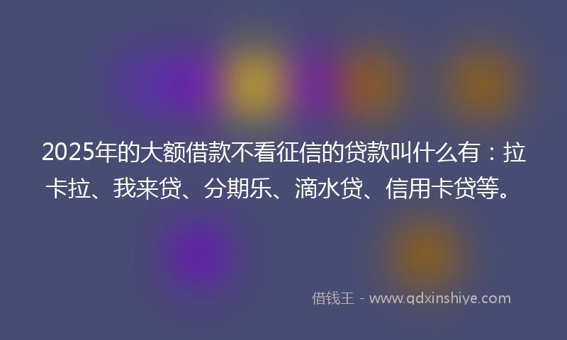 2025年的大额借款不看征信的贷款叫什么有：拉卡拉、我来贷、分期乐、滴水贷、信用卡贷等。