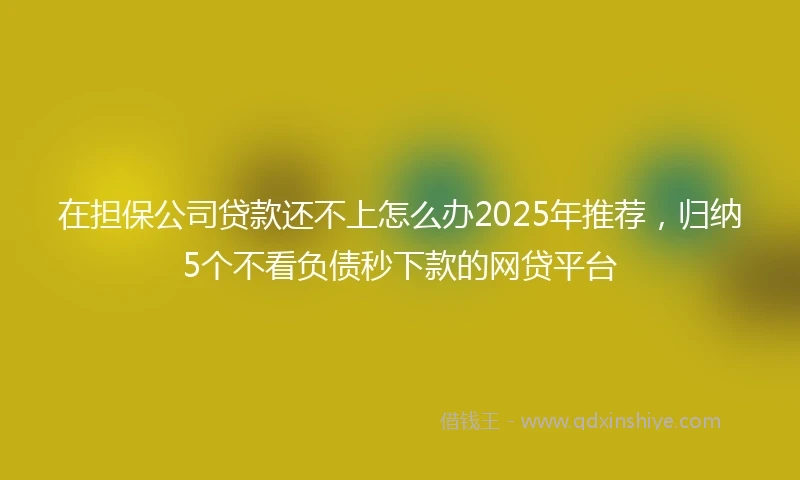 在担保公司贷款还不上怎么办2025年推荐，归纳5个不看负债秒下款的网贷平台