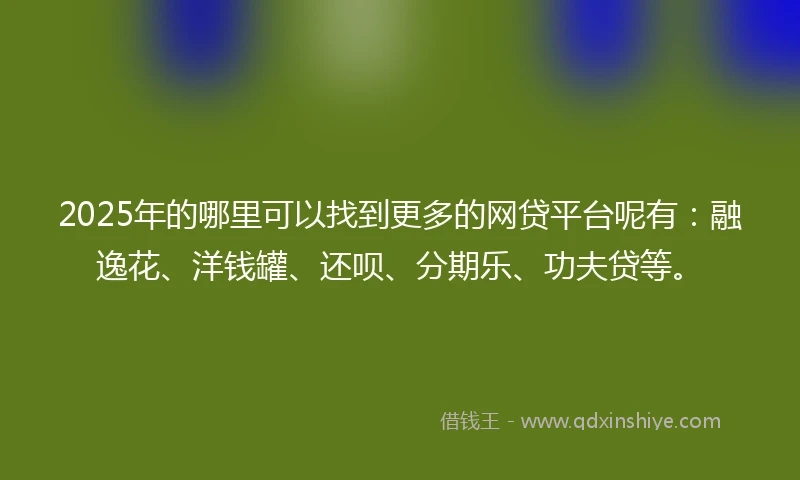 2025年的哪里可以找到更多的网贷平台呢有：融逸花、洋钱罐、还呗、分期乐、功夫贷等。