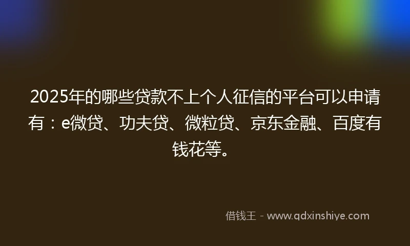 2025年的哪些贷款不上个人征信的平台可以申请有：e微贷、功夫贷、微粒贷、京东金融、百度有钱花等。