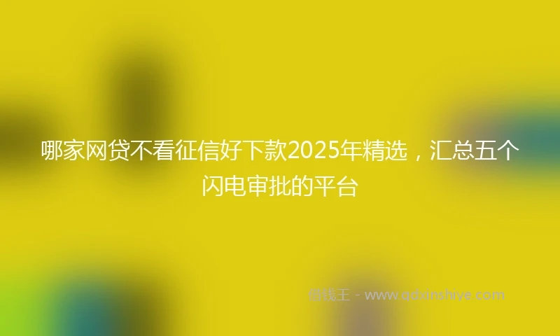 哪家网贷不看征信好下款2025年精选，汇总五个闪电审批的平台
