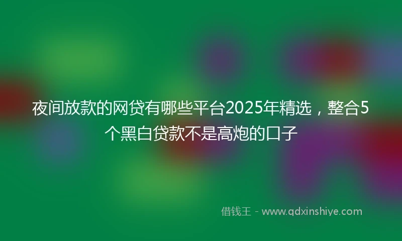 夜间放款的网贷有哪些平台2025年精选，整合5个黑白贷款不是高炮的口子