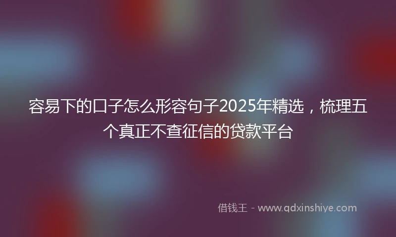 容易下的口子怎么形容句子2025年精选，梳理五个真正不查征信的贷款平台