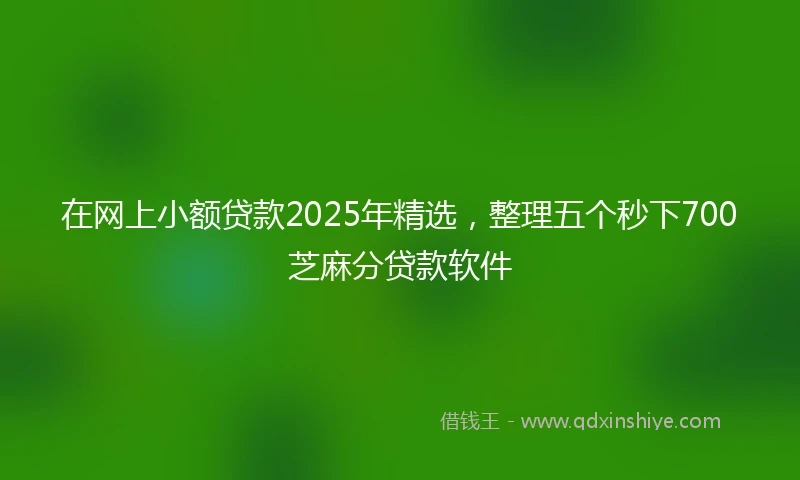 在网上小额贷款2025年精选，整理五个秒下700芝麻分贷款软件