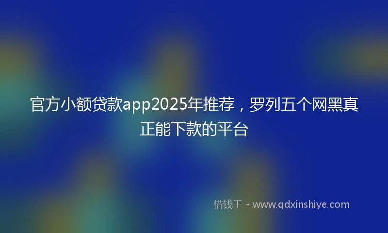 官方小额贷款app2025年推荐，罗列五个网黑真正能下款的平台