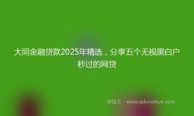 大同金融贷款2025年精选，分享五个无视黑白户秒过的网贷