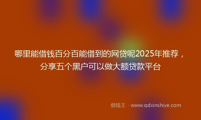哪里能借钱百分百能借到的网贷呢2025年推荐，分享五个黑户可以做大额贷款平台