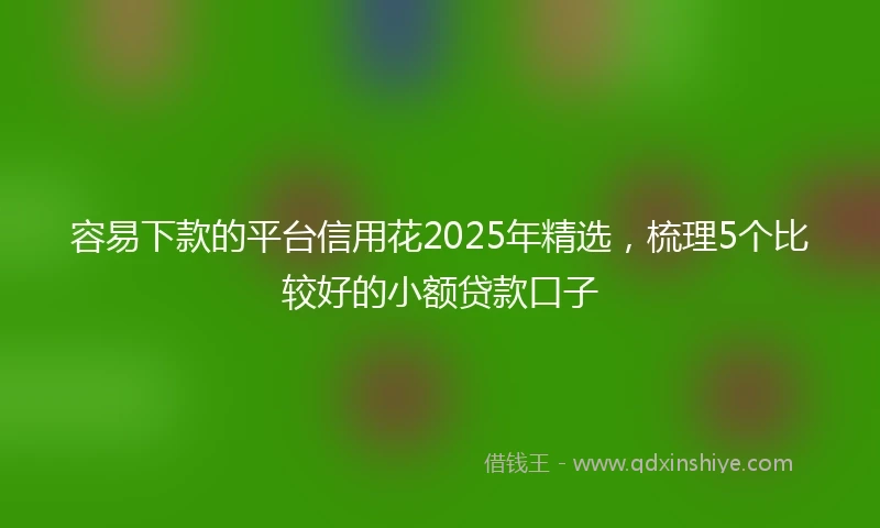 容易下款的平台信用花2025年精选，梳理5个比较好的小额贷款口子