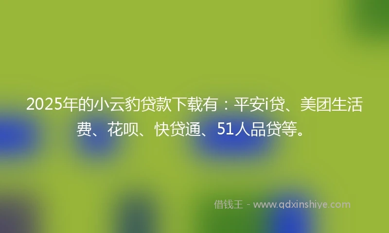 2025年的小云豹贷款下载有：平安i贷、美团生活费、花呗、快贷通、51人品贷等。