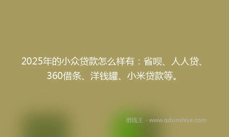 2025年的小众贷款怎么样有：省呗、人人贷、360借条、洋钱罐、小米贷款等。