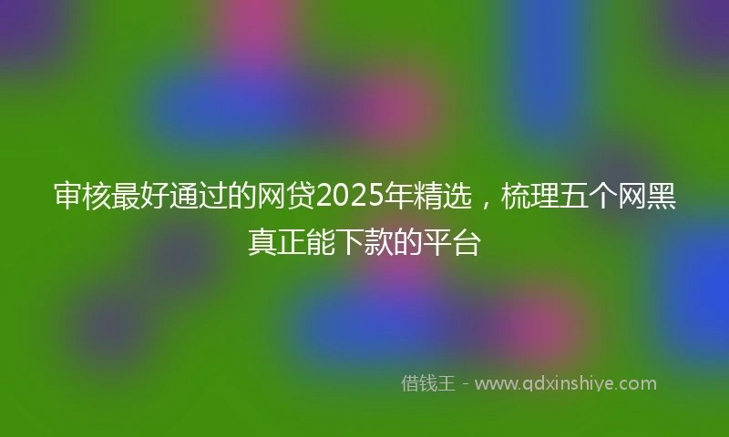 审核最好通过的网贷2025年精选，梳理五个网黑真正能下款的平台
