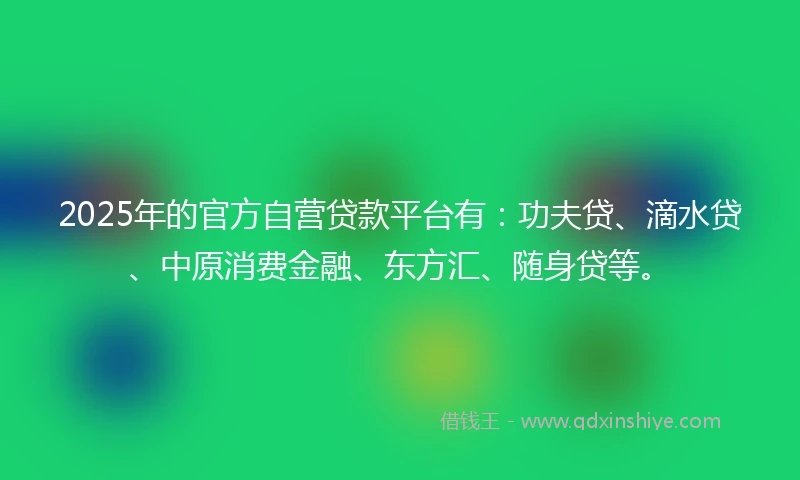 2025年的官方自营贷款平台有：功夫贷、滴水贷、中原消费金融、东方汇、随身贷等。