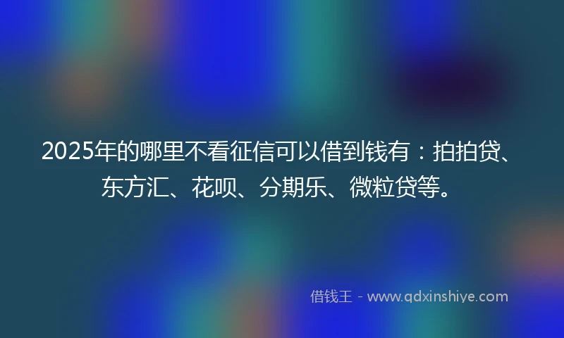 2025年的哪里不看征信可以借到钱有：拍拍贷、东方汇、花呗、分期乐、微粒贷等。