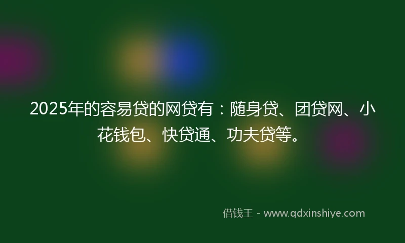 2025年的容易贷的网贷有：随身贷、团贷网、小花钱包、快贷通、功夫贷等。