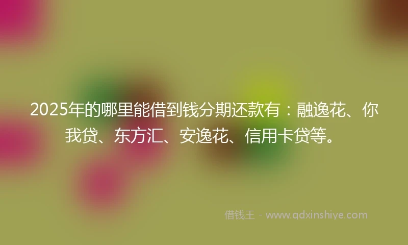 2025年的哪里能借到钱分期还款有：融逸花、你我贷、东方汇、安逸花、信用卡贷等。
