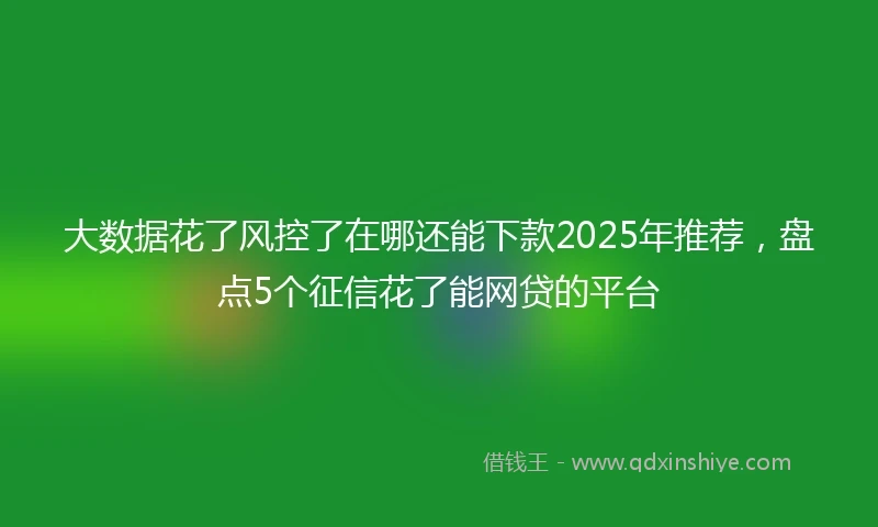大数据花了风控了在哪还能下款2025年推荐，盘点5个征信花了能网贷的平台