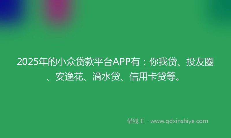 2025年的小众贷款平台APP有：你我贷、投友圈、安逸花、滴水贷、信用卡贷等。