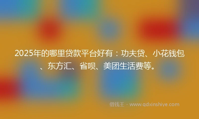 2025年的哪里贷款平台好有：功夫贷、小花钱包、东方汇、省呗、美团生活费等。
