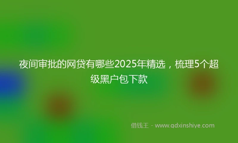 夜间审批的网贷有哪些2025年精选，梳理5个超级黑户包下款