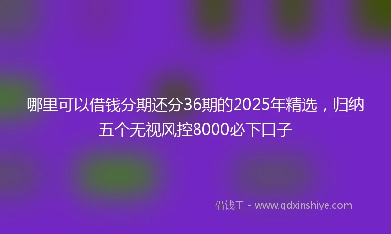 哪里可以借钱分期还分36期的2025年精选，归纳五个无视风控8000必下口子