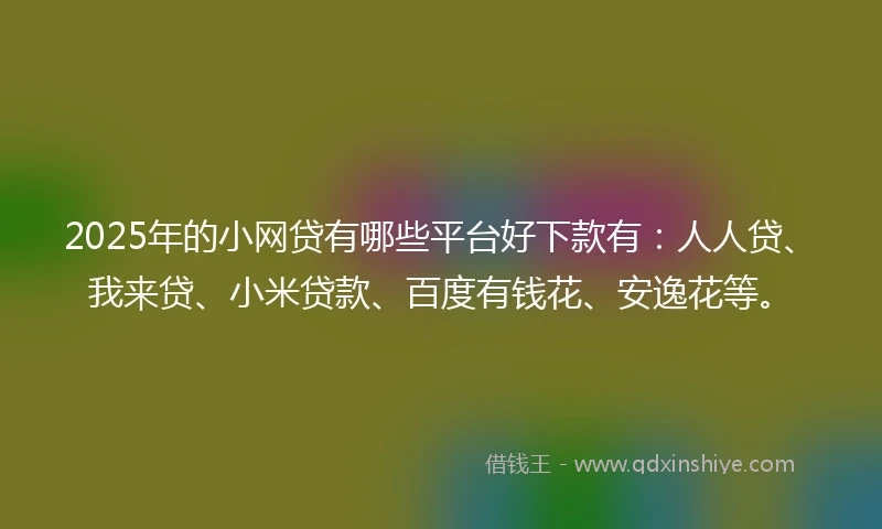 2025年的小网贷有哪些平台好下款有：人人贷、我来贷、小米贷款、百度有钱花、安逸花等。
