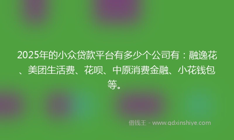 2025年的小众贷款平台有多少个公司有：融逸花、美团生活费、花呗、中原消费金融、小花钱包等。