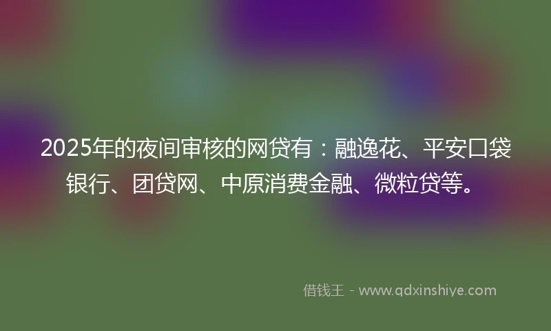 2025年的夜间审核的网贷有：融逸花、平安口袋银行、团贷网、中原消费金融、微粒贷等。