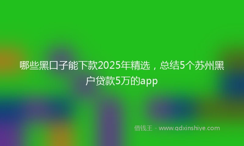 哪些黑口子能下款2025年精选，总结5个苏州黑户贷款5万的app