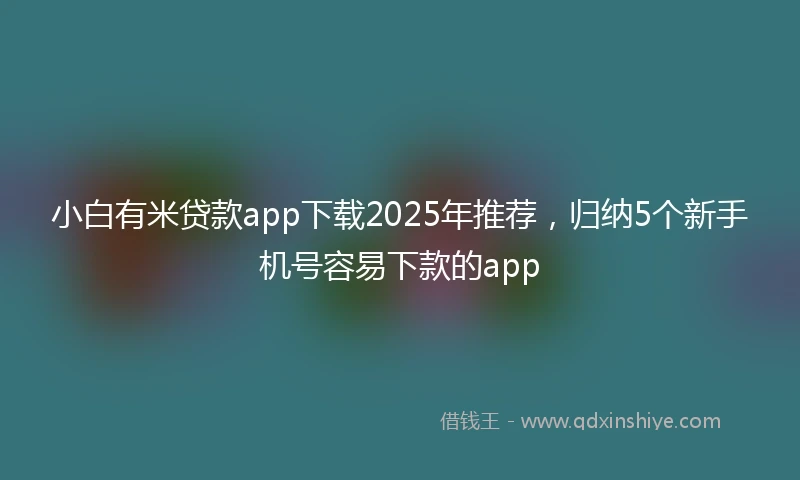 小白有米贷款app下载2025年推荐，归纳5个新手机号容易下款的app