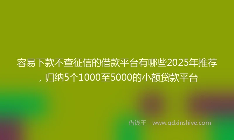 容易下款不查征信的借款平台有哪些2025年推荐，归纳5个1000至5000的小额贷款平台