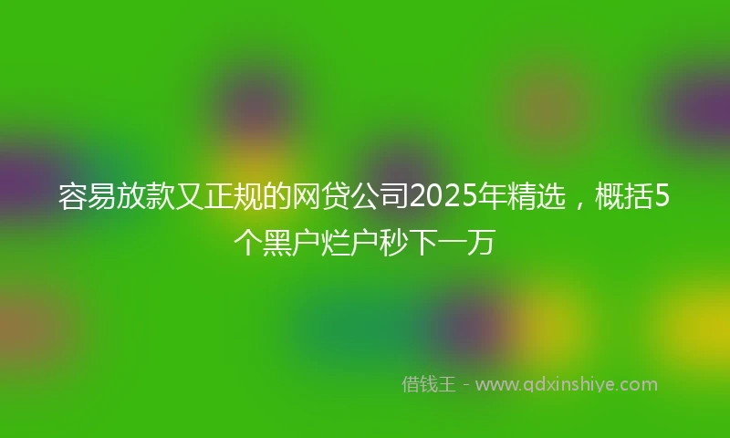 容易放款又正规的网贷公司2025年精选，概括5个黑户烂户秒下一万