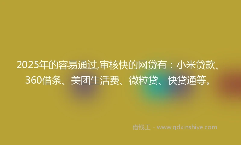 2025年的容易通过,审核快的网贷有：小米贷款、360借条、美团生活费、微粒贷、快贷通等。