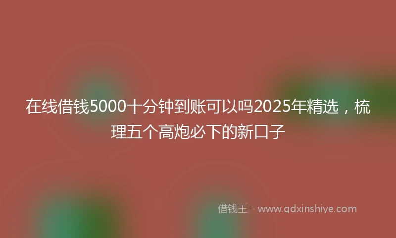 在线借钱5000十分钟到账可以吗2025年精选，梳理五个高炮必下的新口子