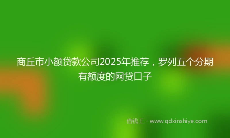 商丘市小额贷款公司2025年推荐，罗列五个分期有额度的网贷口子