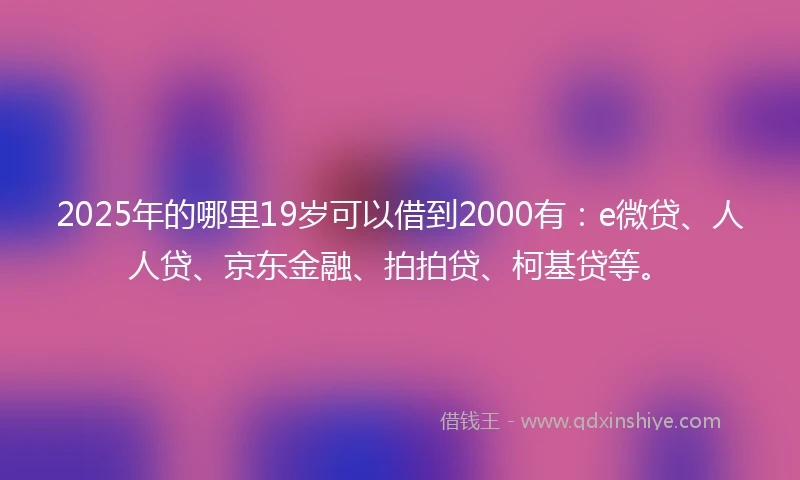 2025年的哪里19岁可以借到2000有：e微贷、人人贷、京东金融、拍拍贷、柯基贷等。