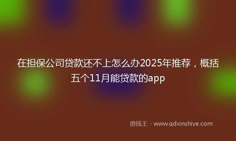 在担保公司贷款还不上怎么办2025年推荐，概括五个11月能贷款的app
