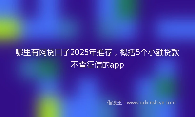 哪里有网贷口子2025年推荐，概括5个小额贷款不查征信的app