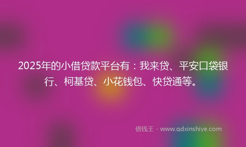 2025年的小借贷款平台有：我来贷、平安口袋银行、柯基贷、小花钱包、快贷通等。